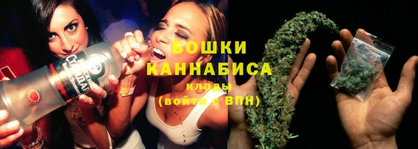 ПСИЛОЦИБИНОВЫЕ ГРИБЫ Коряжма