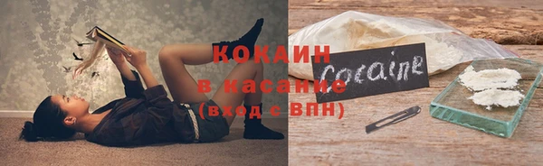 ПСИЛОЦИБИНОВЫЕ ГРИБЫ Коряжма